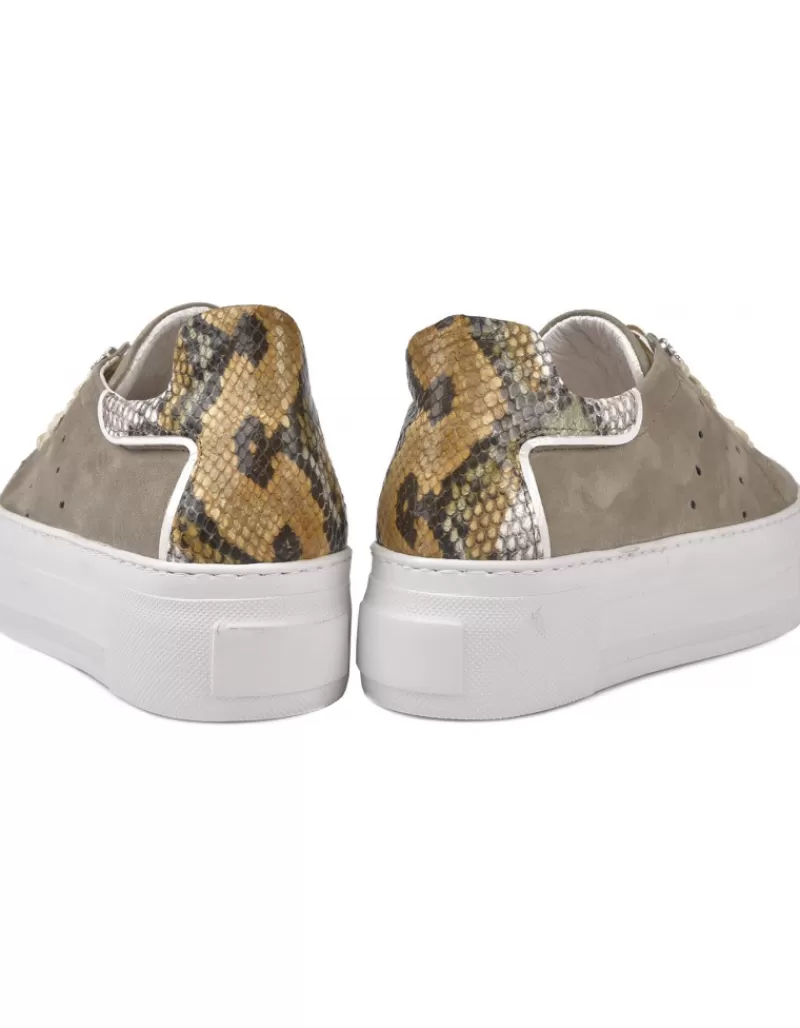 alpe_first_2-1.webp Alpe First^Women Sneakers Casual